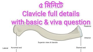 Clavicle bangla [upl. by Aivuy]