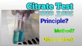 Citrate Test Microbiology [upl. by Meridith]