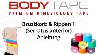 081 Brustkorb und Rippen 1 Serratur anterior [upl. by Enerod980]