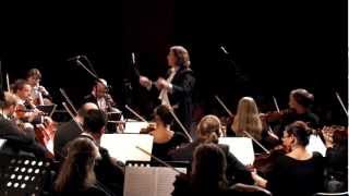 Beethoven Symphony 7 Scherzo Presto 3rd mvt [upl. by Nnaj959]