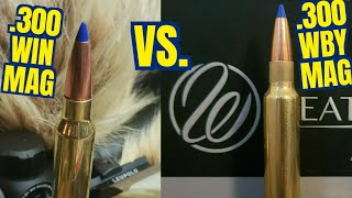 300 Winchester Magnum vs 300 Weatherby magnum Barnes 175gr LRX With Reloading Weatherby [upl. by Ecinerev]