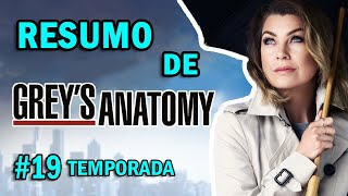 Greys Anatomy  19ª temporada  Resumo [upl. by Kinchen]