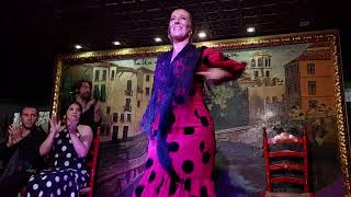 Flamenco show Granada [upl. by Ikkaj]