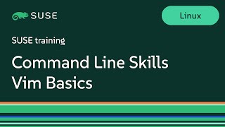 Command Line Skills Vim Basics [upl. by Lajet987]