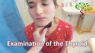 Examination of the Thyroid Gland  OSCE [upl. by Ettari643]