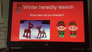 Winter heredity lesson Punnett square practice [upl. by Ttirrej665]