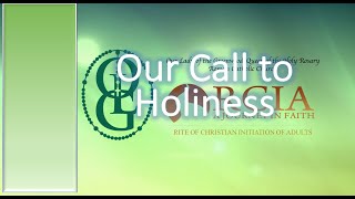 Mystagogy  Our Call to Holiness [upl. by Remmer]