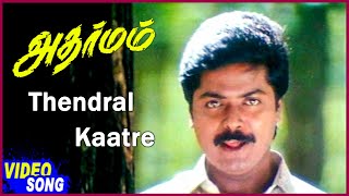 Adharmam Movie Songs  Thendral Kaatre Song  Murali  Ranjitha  Ilaiyaraaja Songs  Mano Hits [upl. by Greenwood]