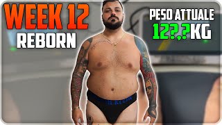 DELUSO E CONFUSO   WEEK 12 REBORN [upl. by Ayetal]