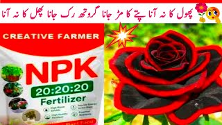 NPK fertilizer  What Is NPK 20 20 20  NPK Fertilizer How To Use In Urdu Hindi [upl. by Allemaj]