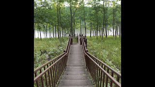 Cuivre River State Park August 4 2018 [upl. by Ennirroc434]