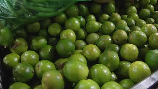 Limoneros de Tuzamapan advierten baja en la producción ante escasez de agua [upl. by Faludi841]