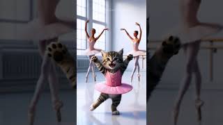 The kitten wants to be a ballerina cat cats kitten cute story [upl. by Pasquale]