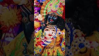 Vrindavan Ke Banke Bihari harekrishna radharani narayana rdhakrishna viralvideo [upl. by Airlie301]