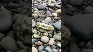 Beachcombing Salvaging RockHounding  HUGE ROPE SCORE [upl. by Krucik]