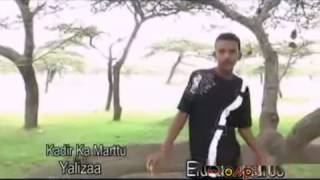 Kadir Martu  Yaa Liizaa Oromo Music [upl. by Bergerac]