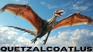 Quetzalcoatlus The Majestic Flying Giant [upl. by Dahcir]