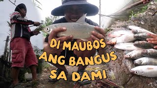 DI MAUBOS ANG BANGUS SA DAMI [upl. by Frasch]