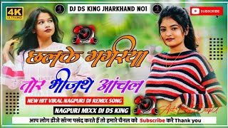 CHHALKEGAGRIYATORBHINJTHEANCHAL NETHETHNAGPURDJREMIXSONG2024 DJDSKINGJHARKHAND [upl. by Nicole674]