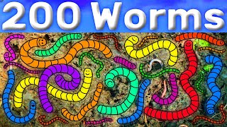 Koo Koo  200 Worms Official Compost Video [upl. by Abagail12]