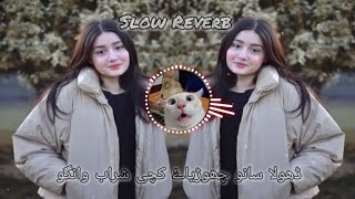 DholaSanuChoryaHaaiKachiSharabWango  Slow Reverb  saraiki song  proud by ijaz x reverb [upl. by Merilee]