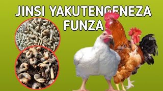 JINSI YA KUTENGENEZA FUNZA UFUGAJI WA KUKU kingofarm [upl. by Airemahs]