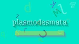 How to say quotplasmodesmataquot High Quality Voices [upl. by Flss]