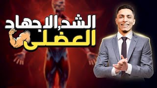 احياء 3ث  الشد والأجهاد العضلى هتفهم يعنى هتفهم دا كدا كدا [upl. by Karisa]