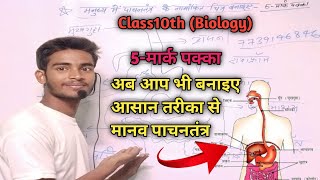 How to draw human digestive system easily method।। manav aahar naal ka chitra।। [upl. by Nosac156]