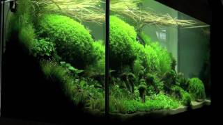 Aquascaping  Aquarium Ideas from The Art of the Planted Aquarium 2011 part 1 [upl. by Saphra]