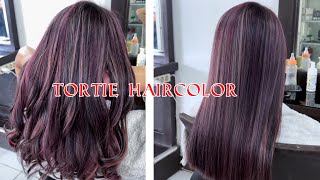 Tortie hair color [upl. by Laemaj]