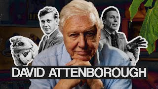 David Attenborough An Extraordinary Life [upl. by Udale317]