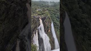 Jog Falls Shimoga  Highest Waterfall in South India jogfalls shimoga karnataka travel tourist [upl. by Roche]