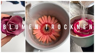 Blumen trocknen Tutorial  Ohne Farbverlust [upl. by Everick910]