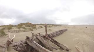 Oregon Coast Relaxing Nehalem Bay St Park Oregon Beaches and Cheese [upl. by Annam]