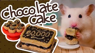 🍫 HamsterSafe Chocolate Cake  HAMSTER KITCHEN 🍫 [upl. by Durrett228]