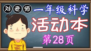 一年级科学活动本答案第28页🍎🍎🍎KSSR SEMAKAN一年级科学活动本答案🍉🍉🍉第5课动物🚀🚀🚀身体部位 羽毛 喙 翅膀 尾巴🌈🌈🌈一年级科学动物一年级科学活动本 [upl. by Kcira675]