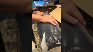 Unboxing Donama Cervical Pillow [upl. by Mccutcheon]