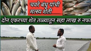 मत्स्य पालन शेत तळ्यातील मत्स्य शेतीFish farming [upl. by Aelsel514]