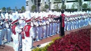 University of South Carolina Gamecock Marching Band [upl. by Leahcimauhsoj]