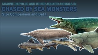 BBC CHASED BY SEA MONSTER  Aquatic Animals Size Comparison and Data [upl. by Ikkaj]