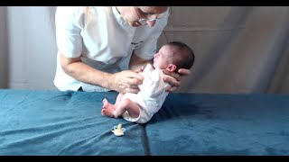 Moro Reflex Clinical Application amp Diagnostic Tool moro mororeflex osteopathy pediatrics [upl. by Aicinat252]