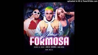 Kaio Viana Ft Bad Gyal Totoy El Frio  Formosa Remix [upl. by Ameen79]