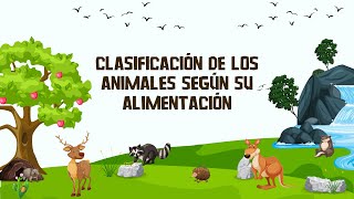 Clasificación de los animales según su alimentación [upl. by Anilatak]