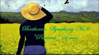 Beethoven Symphony No 6 quotPastoralquot 1st Mov 전원 교향곡 [upl. by Clyve428]