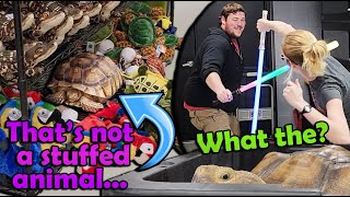 Weird Things that Happen at Snake Discovery Shenanigans Ep 4 [upl. by Heger]