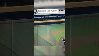 He broke the wall after CRUSHING a line drive 😅 via MLBPipelineTW [upl. by Groveman981]