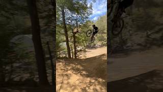 Bikepark Nevados De CHILLAN ⚡️⚡️ mtb downhill enduro bike [upl. by Ernestus]