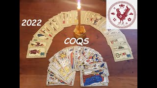 🐓Coqs signe astrologique chinois pour lannée 2022🐓 [upl. by Judy425]