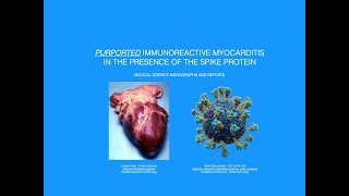 Purported Immunoreactive Myocarditis In The Presence Of The Spike Protein [upl. by Narol]